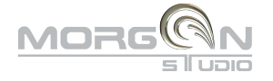 Morgan Studio Logo