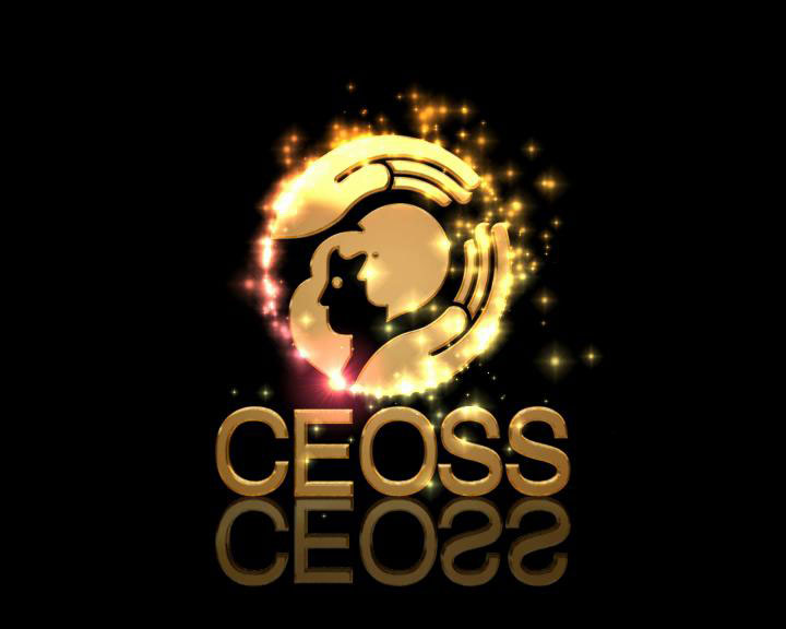 CEOSS Logo